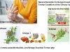 Natural Remedies For Benign Essential Tremor Condition