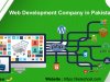 Web Development Company In Pakistan