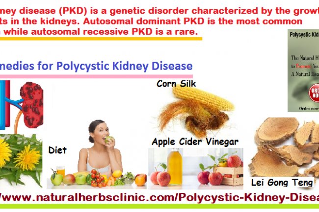 5 Natural Remedies For Polycystic Kidney Disease