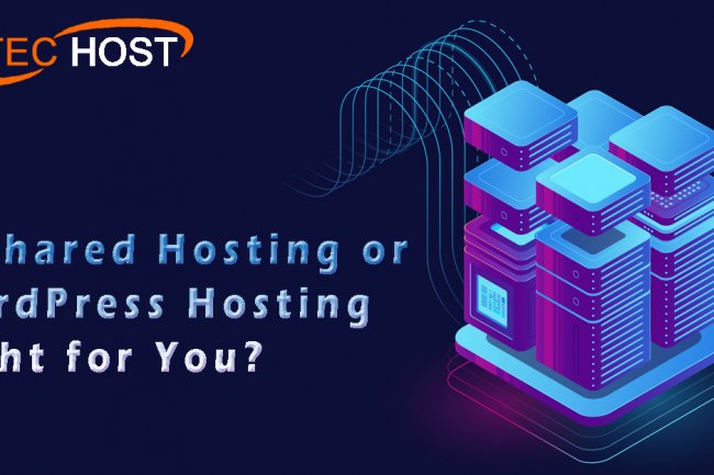 Is Shared Hosting Or Wordpress Hosting Right For You?
