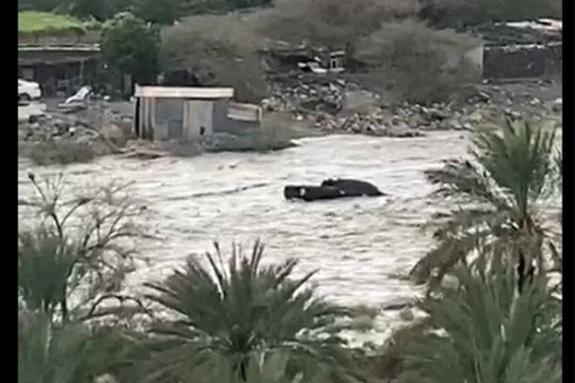 Video: 4 Dead, 3 Rescued In Sharjah As Floods Swept Wadi