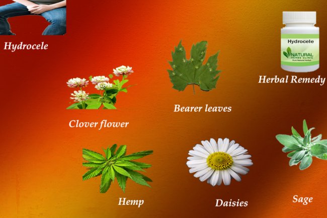 Natural Healing Process of Hydrocele