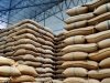 3,600 hoarded wheat sacks recovered in Punjab