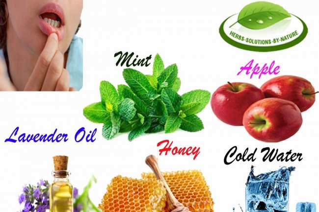 Herbal Treatment for Burning Mouth Syndrome Use Without Any Side Effects