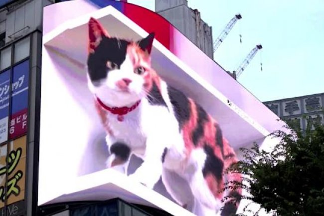 VIDEO OF GIANT 3D CAT MOVING ON ‘BIGGEST’ BILLBOARD GOES VIRAL  