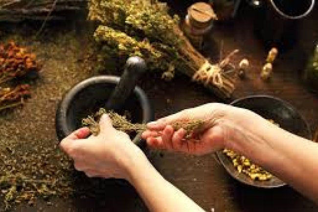 A Beginner’s Guide to Herbal Remedies for Common Health Challenges