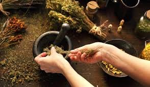 A Beginner’s Guide to Herbal Remedies for Common Health Challenges