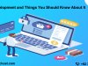 Web Development And Things You Should Know About It