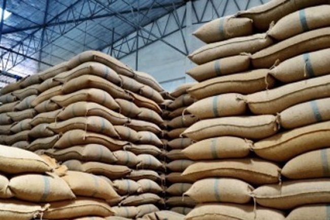 3,600 hoarded wheat sacks recovered in Punjab